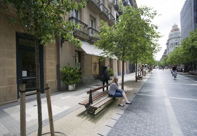 Apartamento en San Sebastián/Donostia - AVENIDA II Apartamento en San Sebastián/Donostia - AVENIDA II