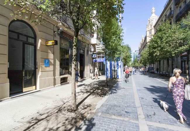 Apartamento en San Sebastián/Donostia - CAMELOT Apartamento en San Sebastián/Donostia - CAMELOT