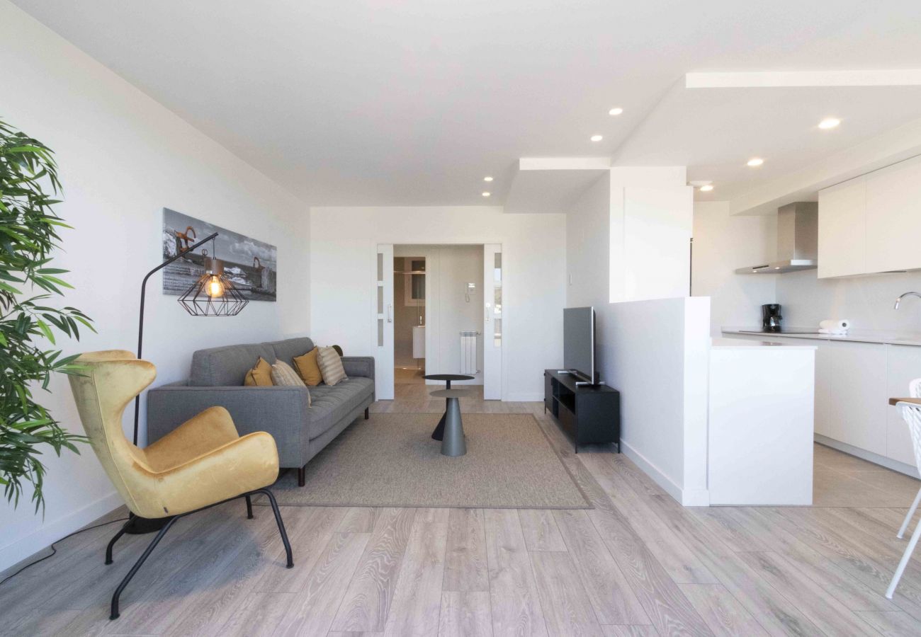 Apartamento en San Sebastián - LA CONCHA TERRACE