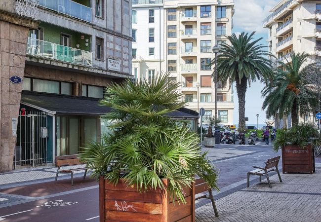 Apartamento en San Sebastián/Donostia - TRIUNFO Apartamento en San Sebastián/Donostia - TRIUNFO