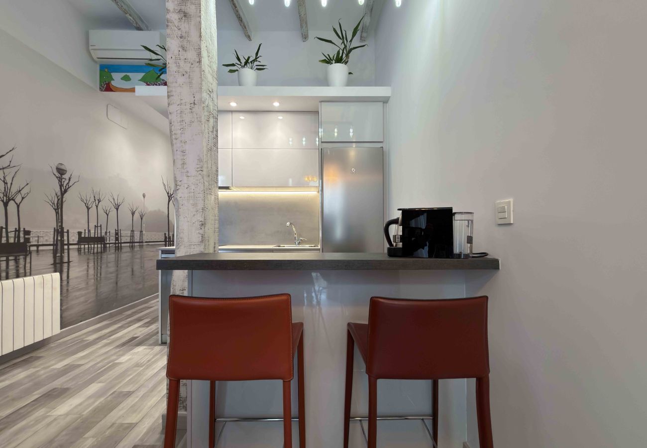 Apartamento en San Sebastián/Donostia - SEBASTIAN