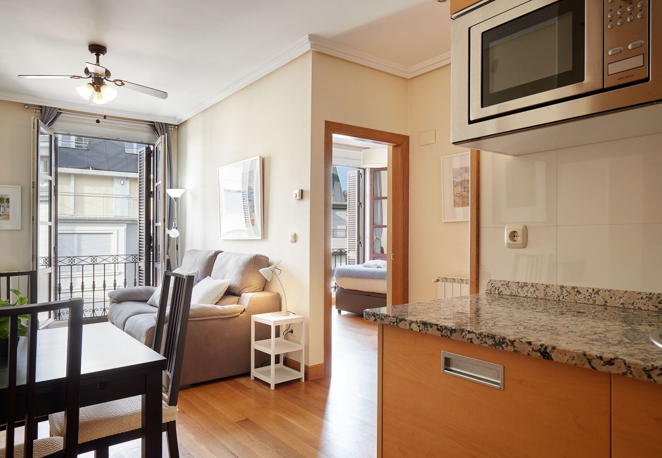 Apartment in San Sebastián - ZUBIETA I