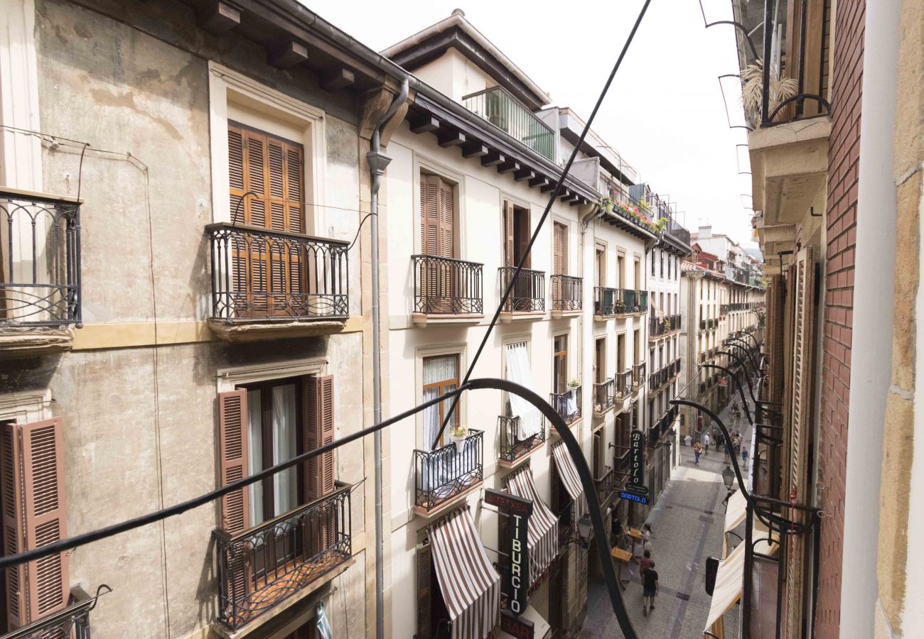 Apartment in San Sebastián - GORBEIA