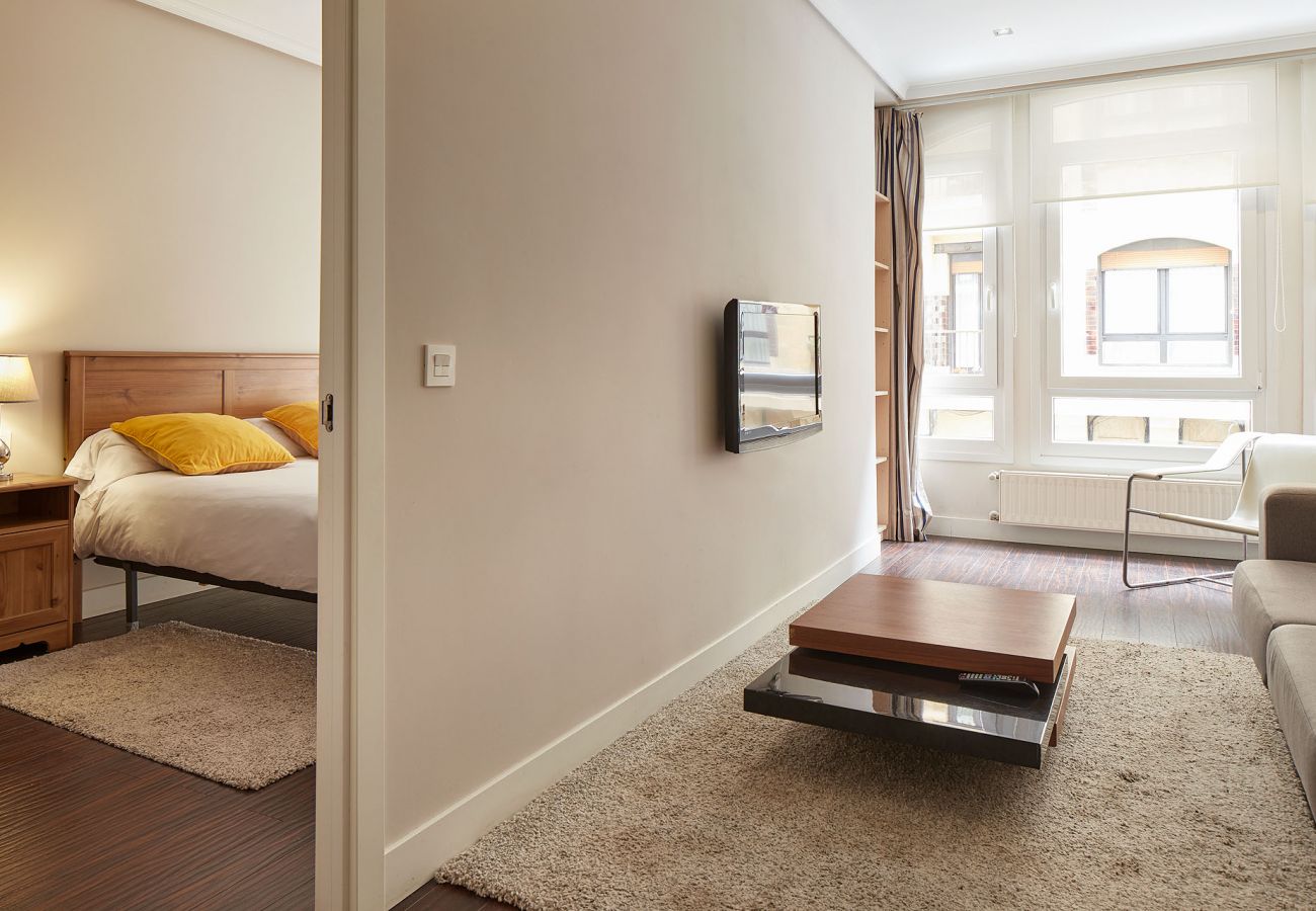 Apartment in San Sebastián - BERMINGHAM
