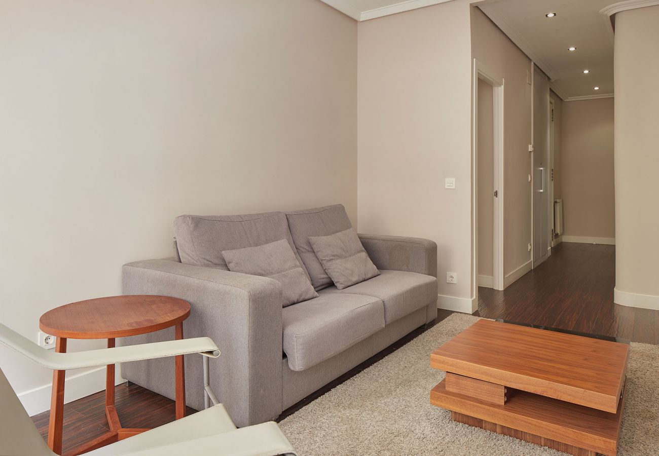 Apartment in San Sebastián - BERMINGHAM