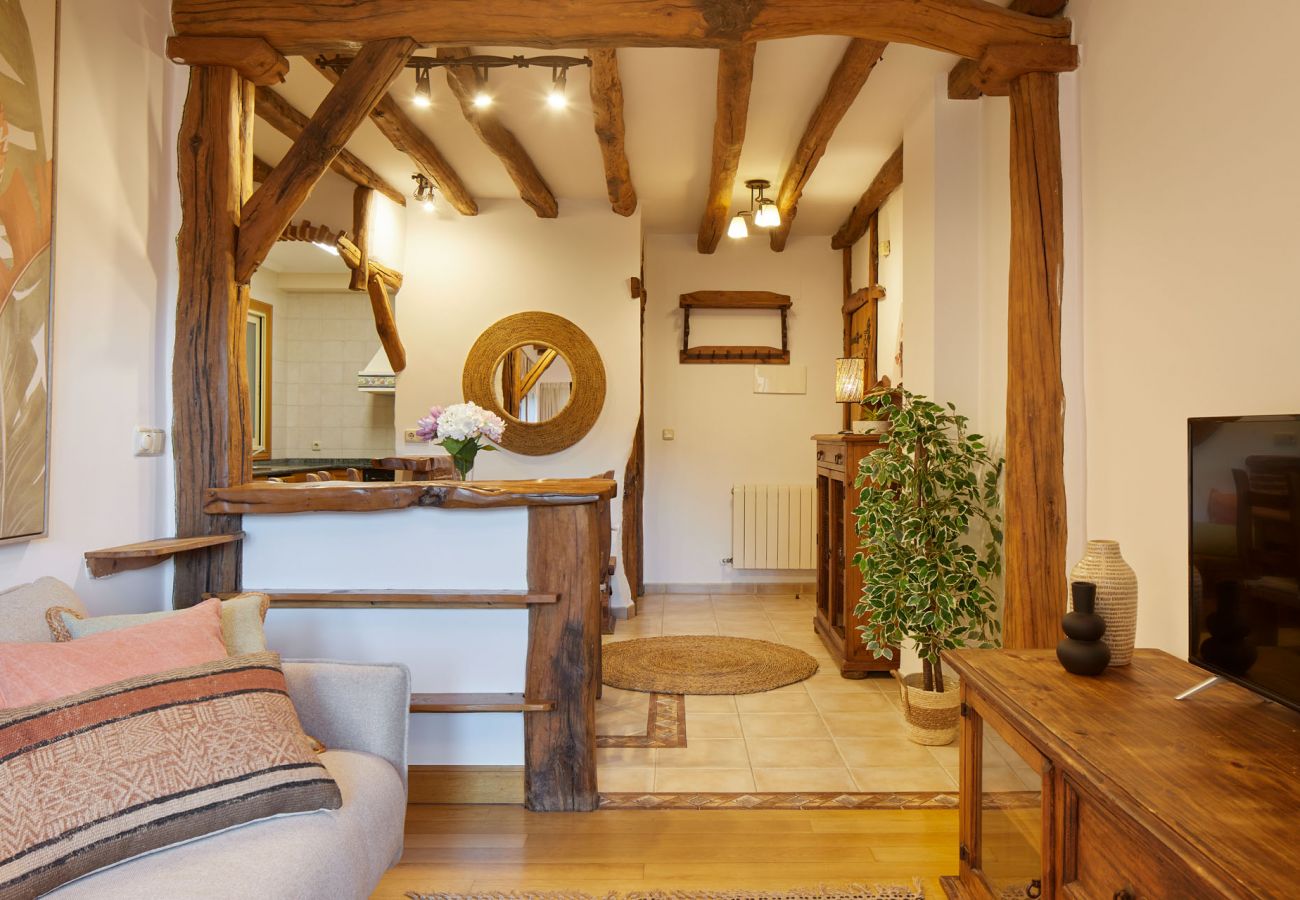 Apartment in San Sebastián - ESNAOLA