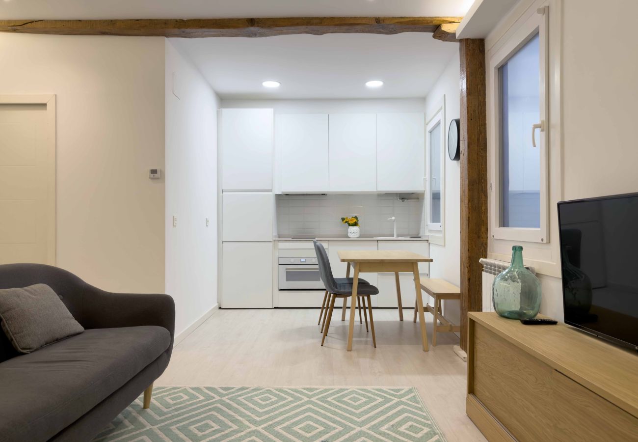 Apartment in San Sebastián - Usandizaga - The Rentals Collection