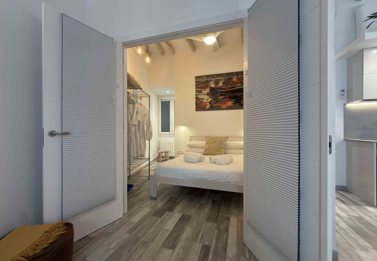 Apartment in San Sebastián - SEBASTIAN