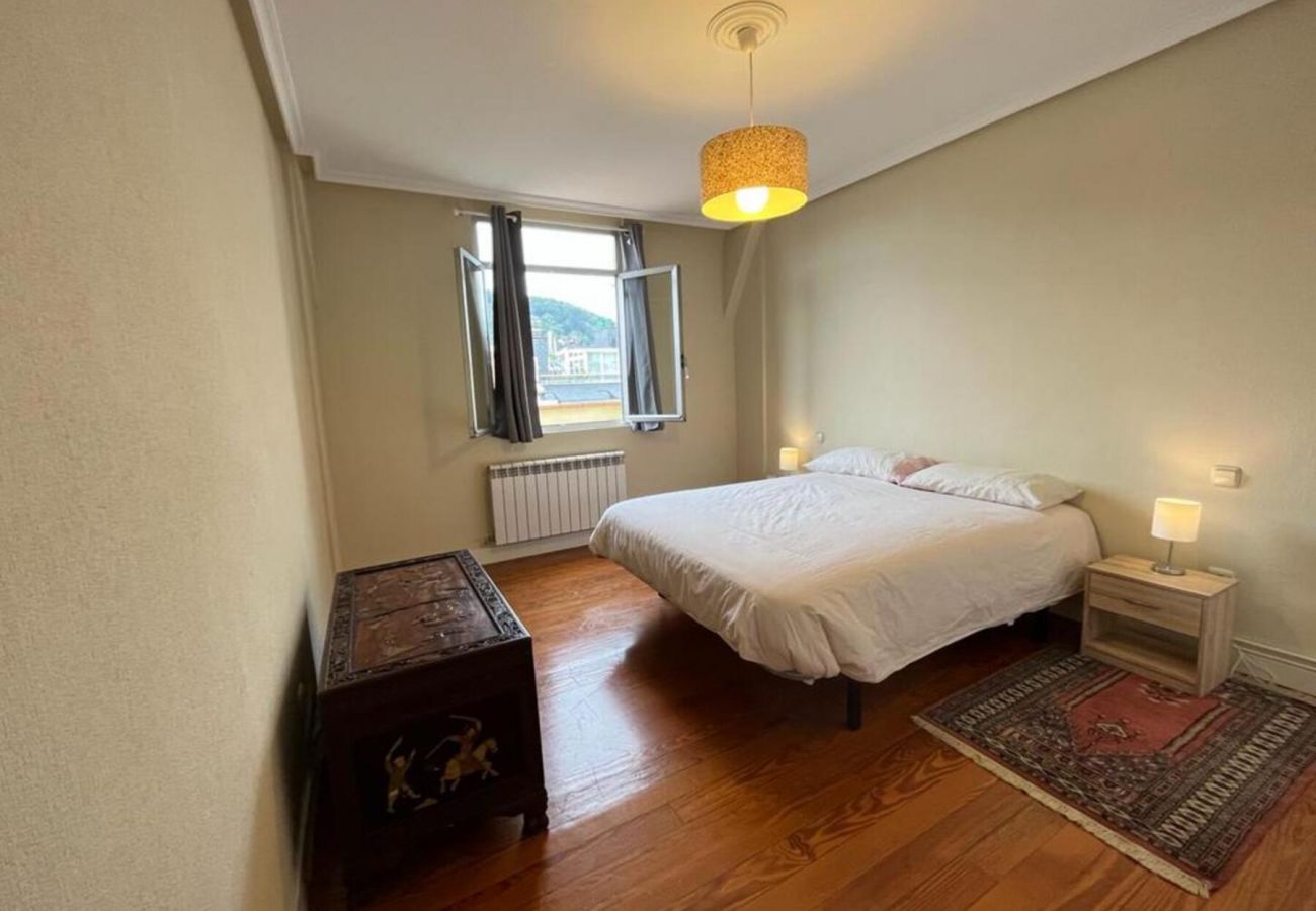 Penthouse in San Sebastián - GRAN VIA 26
